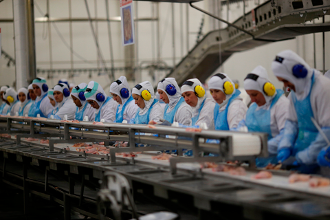 Justiça do Trabalho condena frigorífico a reparar trabalhadora com doença ocupacional