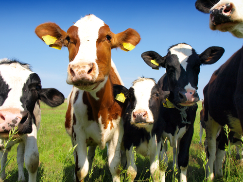 Agropecuária mantém liderança na oferta de emprego em junho